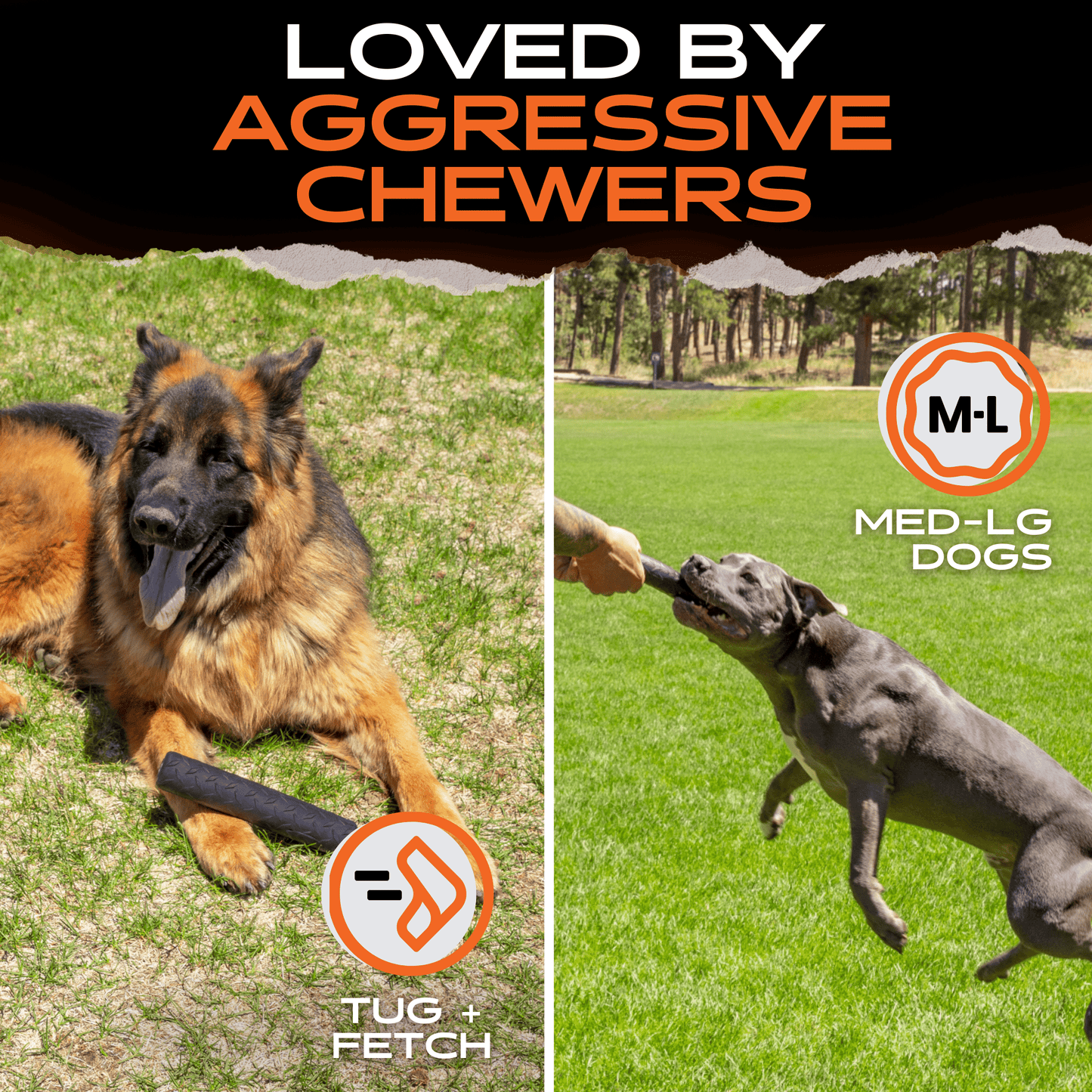 Chew Stick -DS