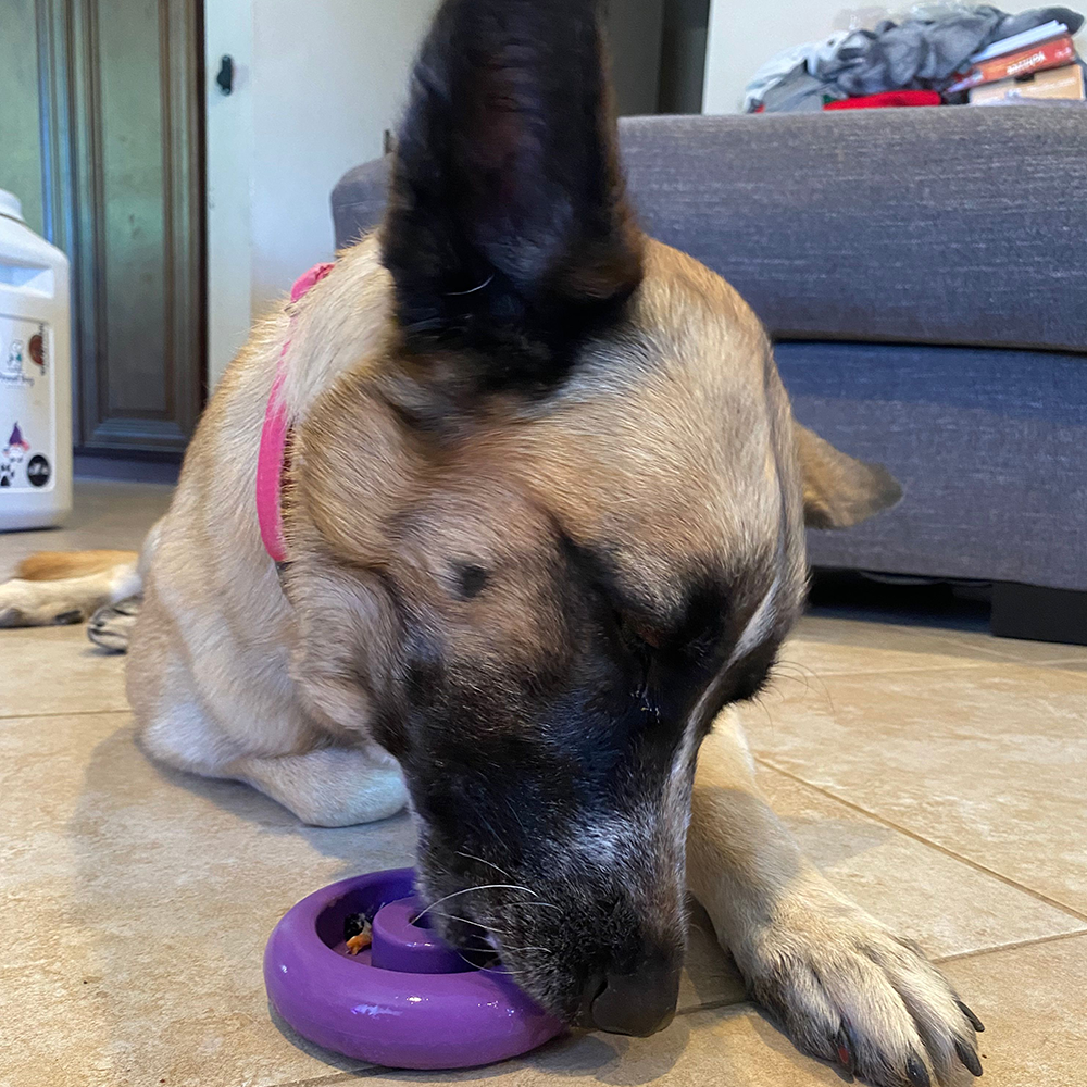 Freez Doughnut - Super Durable Treat Toy -DS
