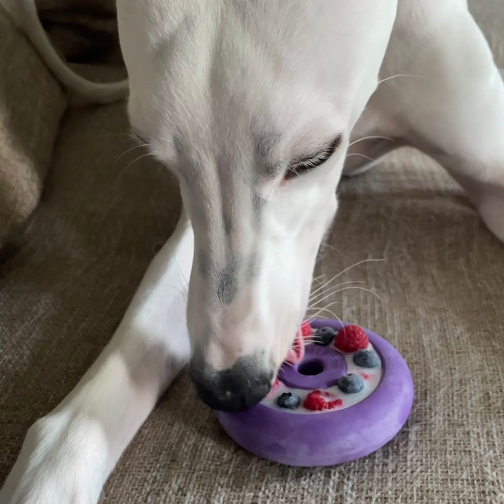 Freez Doughnut - Super Durable Treat Toy -DS