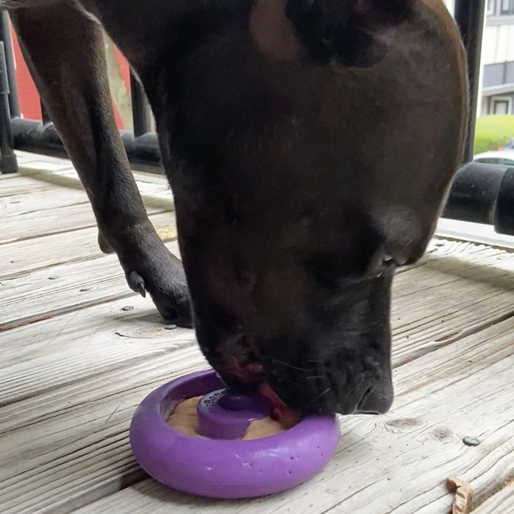 Freez Doughnut - Super Durable Treat Toy -DS