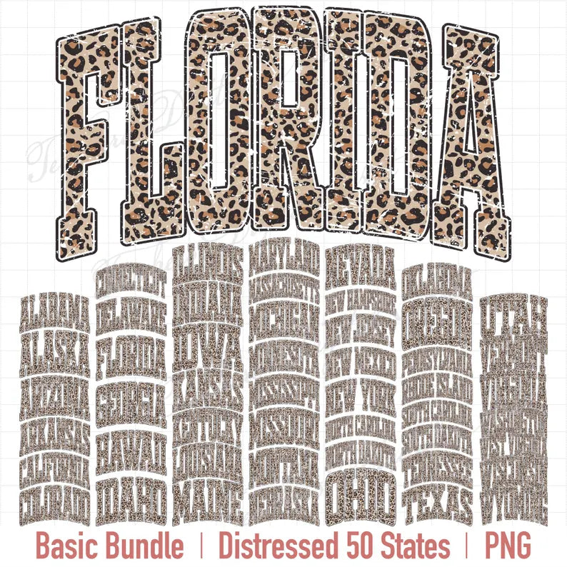 USA State Name Graphic - Pick your print camo or cheetah - KIDS