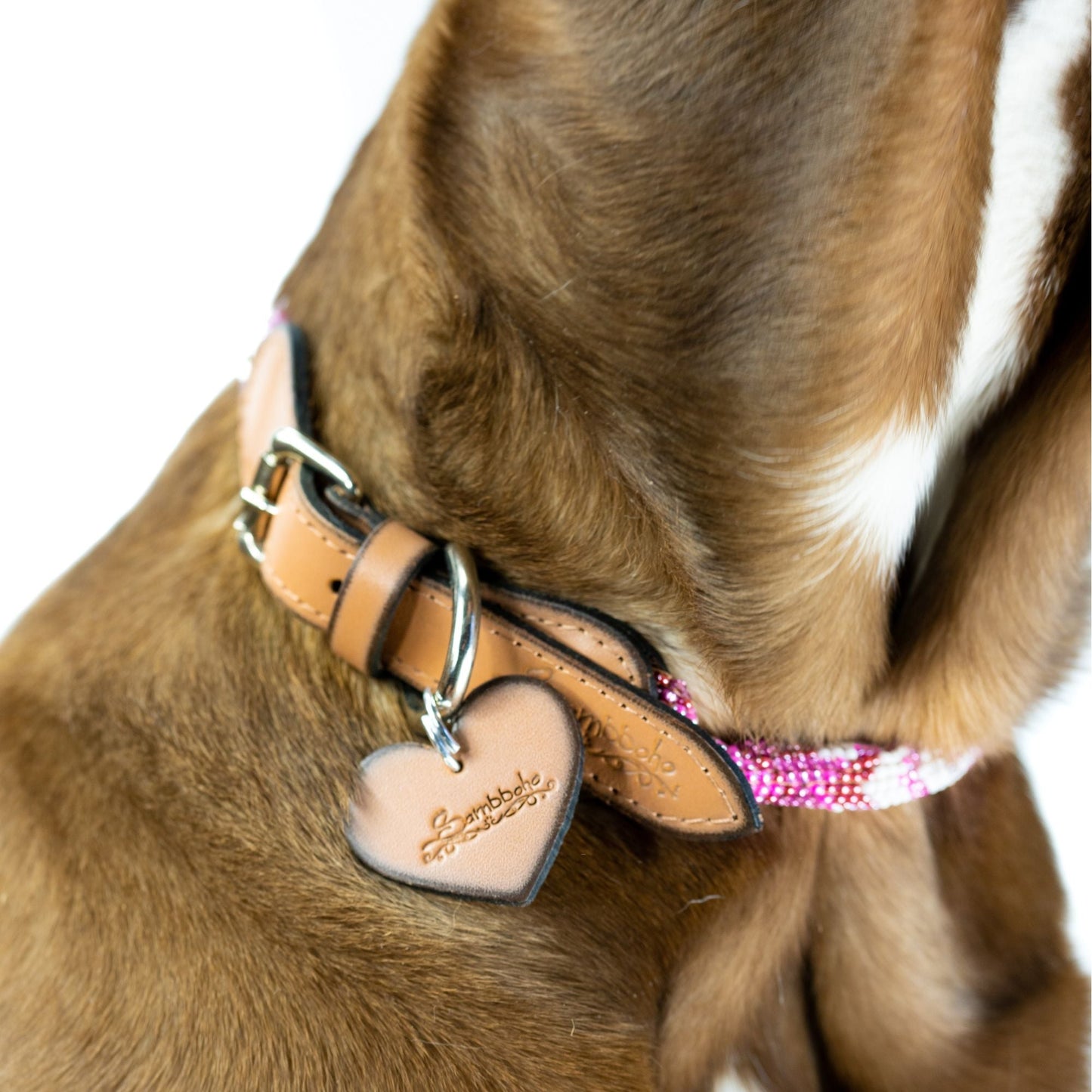 DS- Melrose Sambboho dog collar (rolled)