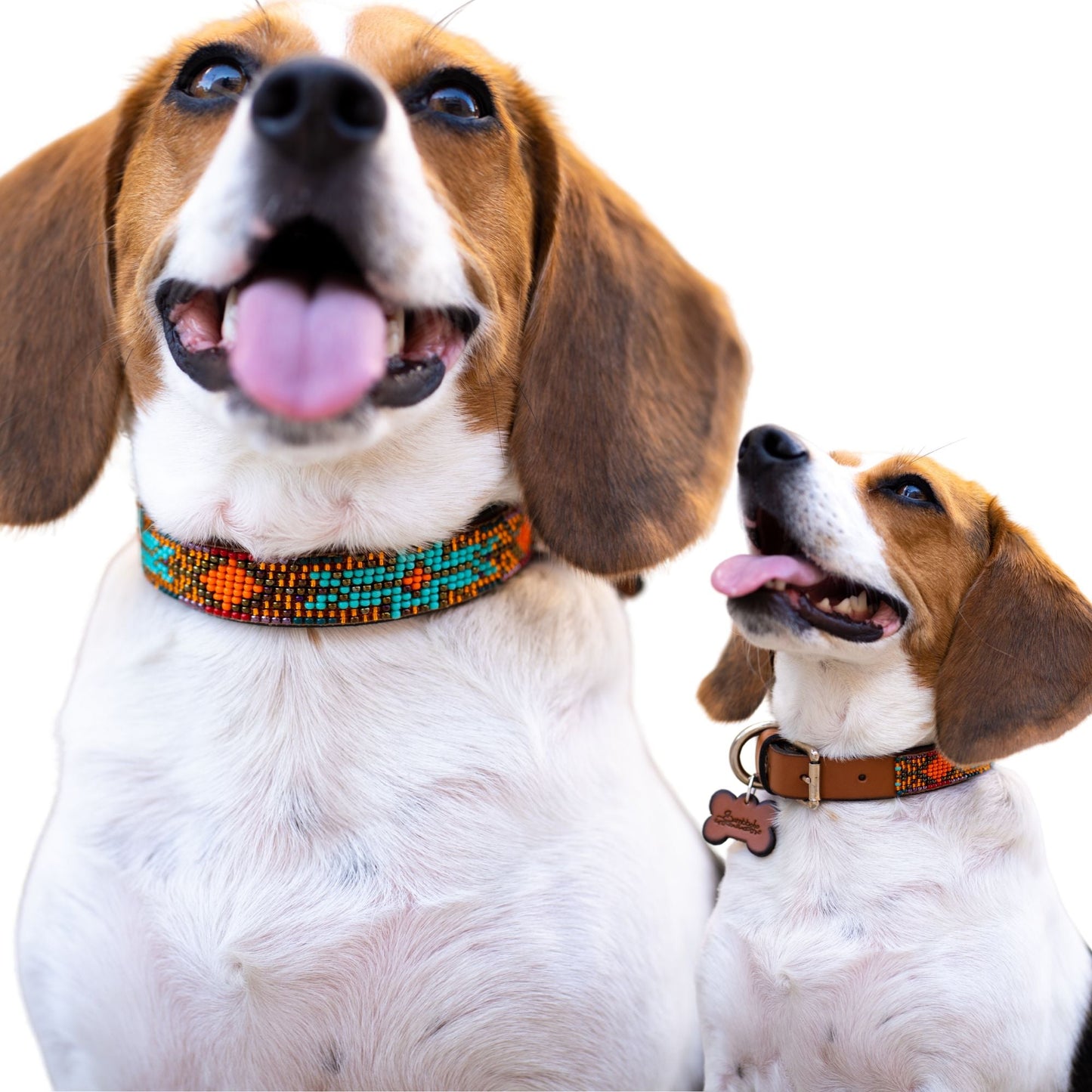 Sardinia Sambboho dog collar (Glam Collection) -DS