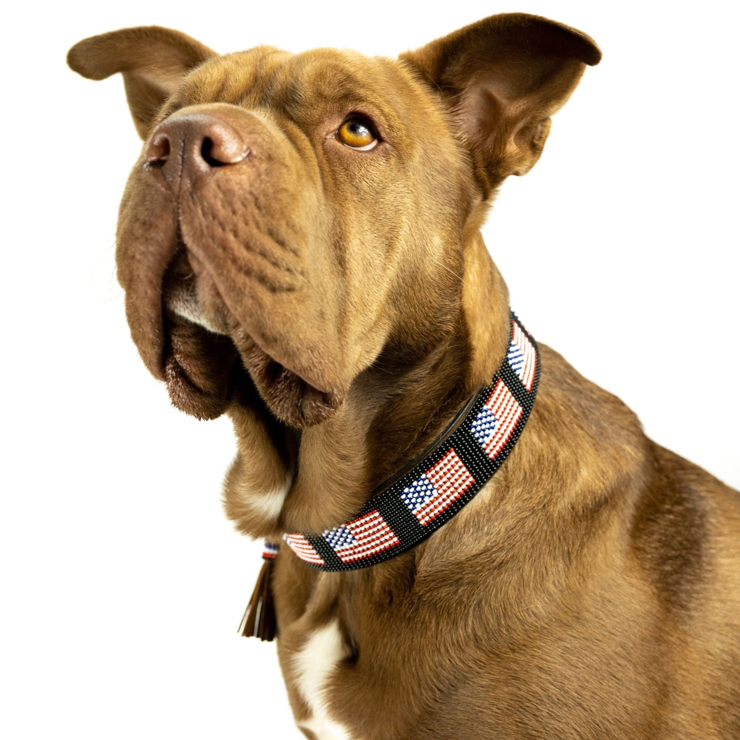 USA Sambboho dog collar -DS