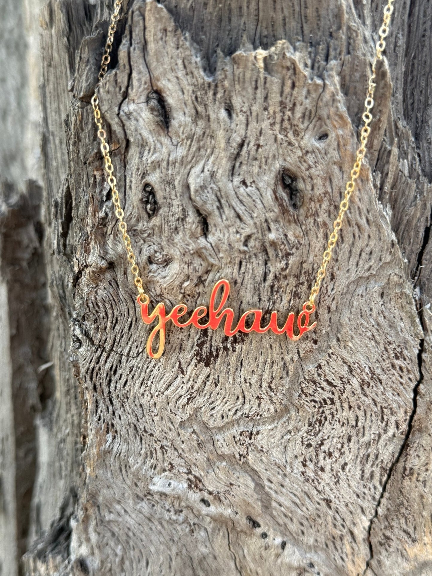 Yee Haw Chain Necklace -DS